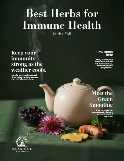 hatha yoga assana manual cover